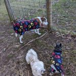 Winter news